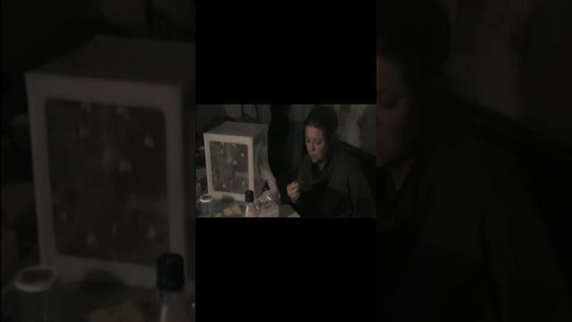 Бабочки вампиры пьют кровь! смотреть онлайн