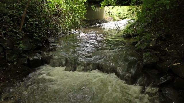 Canon eos 550D (Kit. Obj. 18-55) & Zoom H2 - Der Lützbach in Oberpleis rund um unsere kleine Farm смотреть онлайн