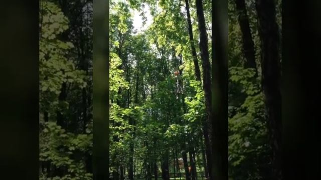 Я в ПандаПарке!!!! Москва-Измайловский парк