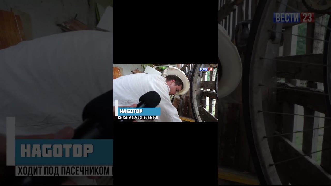 Настоящий пчеловод - Майнкрафт #shorts #майнкрафт #minecraft #приколы #угар #фейлы смотреть онлайн