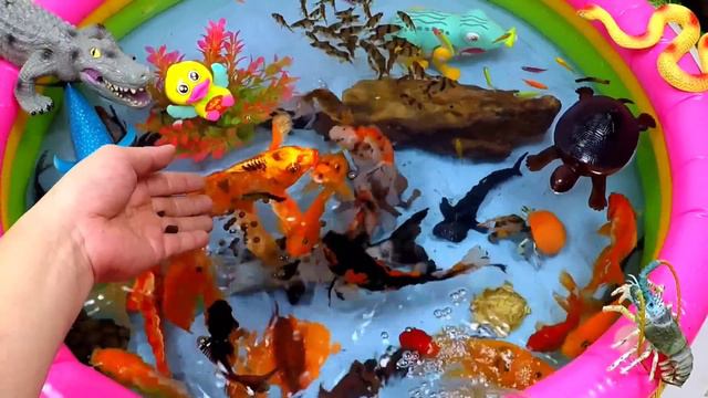 Collection of Cute Animals, Catfish, Clownfish, Duck, Goldfish, Shark, Crocodile, Crab,Starfish,Car смотреть онлайн