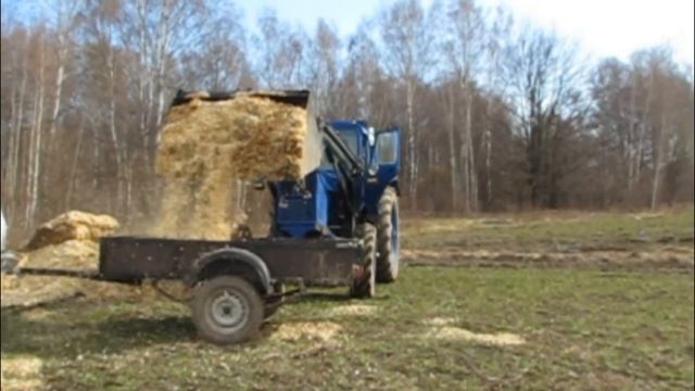 Мульчирую голубику опилками. смотреть онлайн