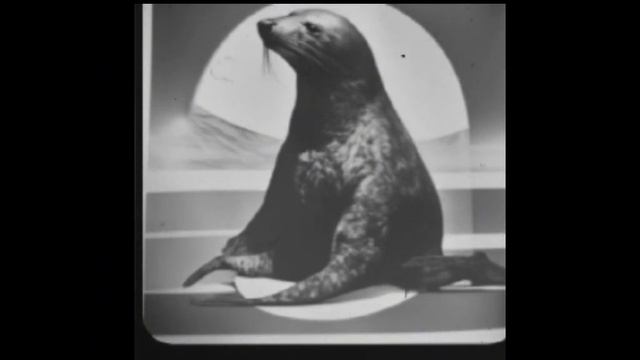 Мем Из 2029 года, вам еще не понять