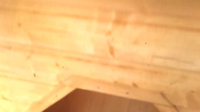 Большая будка для собаки смотреть онлайн