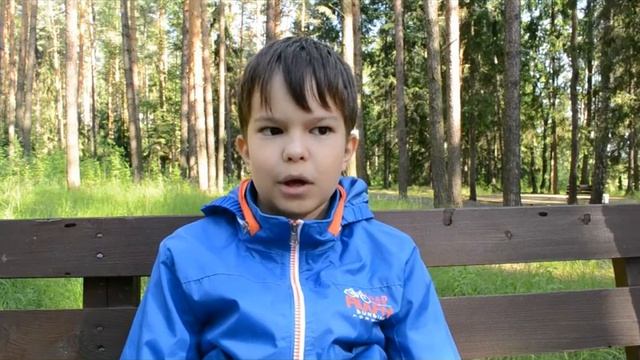 берегите лес смотреть онлайн