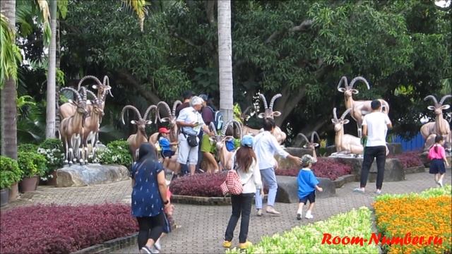 Сад Нонг Нуч Паттайя смотреть онлайн
