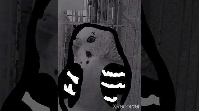 Жуткие лица попугая Кеши🐦 (Расширим шаблон! Можно брать шаблон) смотреть онлайн