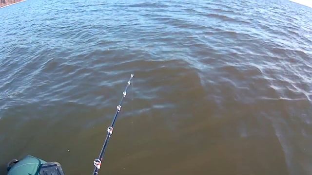 СОМ НА КВОК ОСЕНЬЮ В ОКТЯБРЕ ПРИ -2.ЛОВИМ СОМА НА ЖИВЦА-ОКУНЯ смотреть онлайн