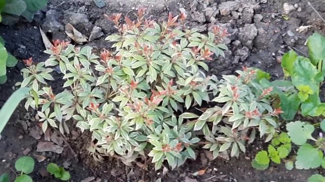 5 мая 2021 г. смотреть онлайн