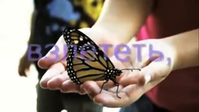 КАК ПРИХОДИТ УСПЕХ - УРОК БАБОЧКИ!!! смотреть онлайн