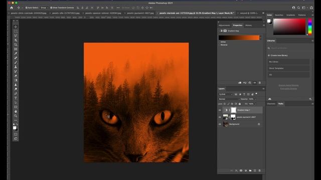 Adobe Photoshop Double Exposure Effect - The Cat and the Forest смотреть онлайн