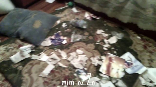 Щенок Лабрадора Разорвал вещи! Puppy Labrador retriever! смотреть онлайн