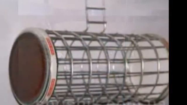 Чем оборудовать клетку?Ответ в этом видео смотреть онлайн