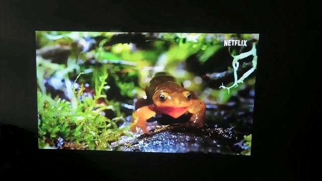 WIMIUS 1080P Outdoor Portable Movie Projector | Mini Projector