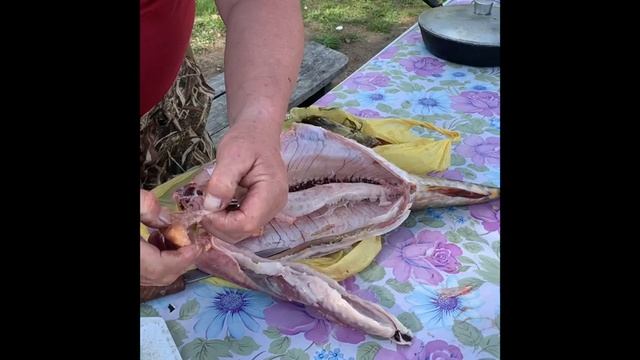 Готовимся к походу Занятие 2: 4 блюда из амгинской щуки смотреть онлайн