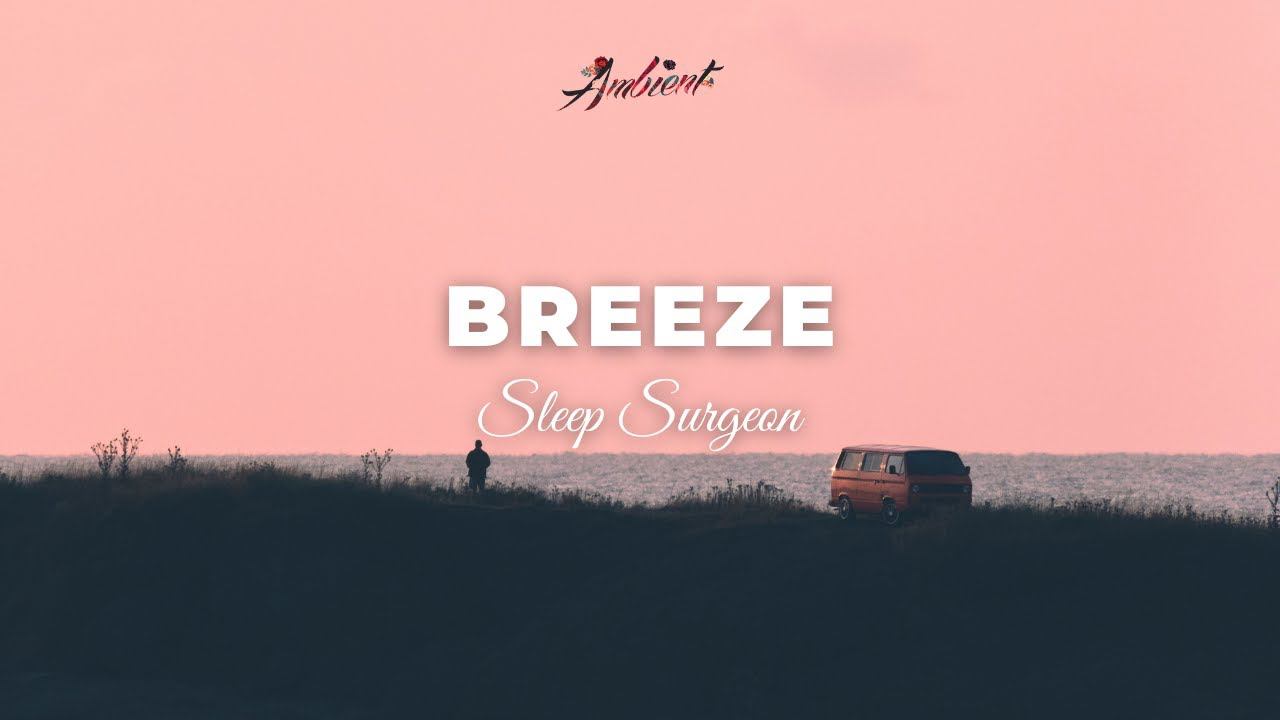 Sleep Surgeon - Breeze [chill ambient beats] смотреть онлайн