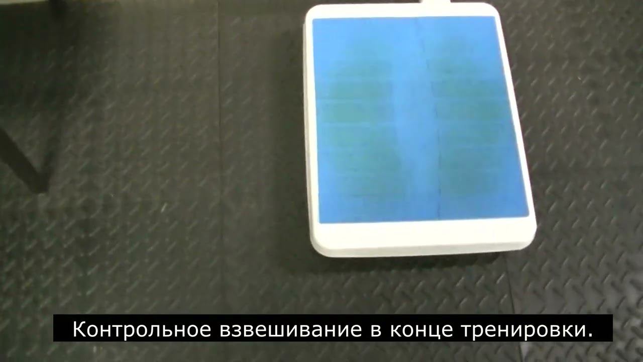 Не самый быстрый и легкий способ похудеть. Новый сезон 2024. Часть 33-я. 05.04.2024 смотреть онлайн