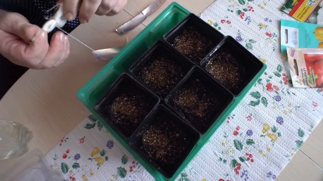 Посев перца на рассаду. Методика опытного садовода смотреть онлайн