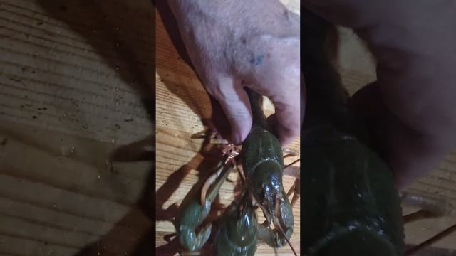 Сладкая парочка смотреть онлайн