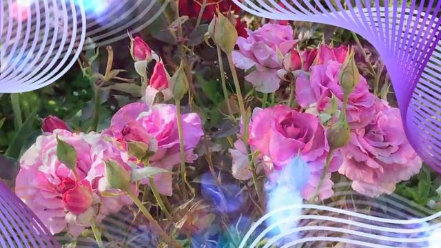 Надобраніч солодких снів На добраніч Казкових снів Побажання Доброї ночі та солодких снів колискова смотреть онлайн