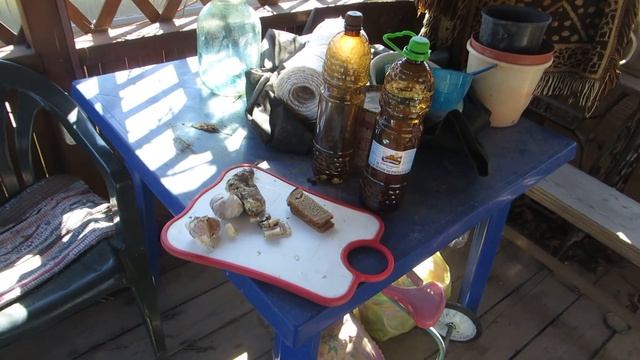 Корчуем пни на участке под гараж. Боремся с заразой. смотреть онлайн