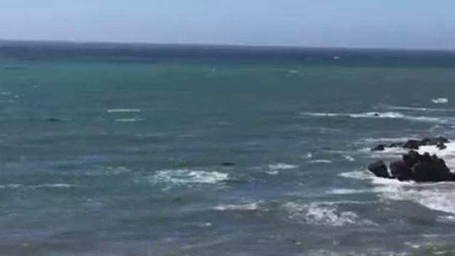 otter 2 смотреть онлайн