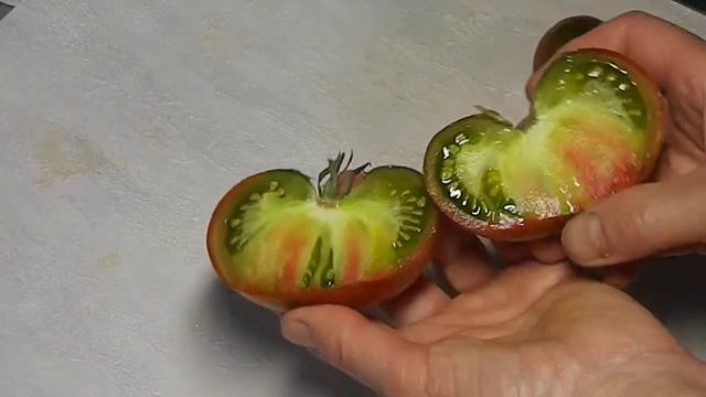 Томат Дельта Дивер красный гном. Тест зрелых плодов. смотреть онлайн