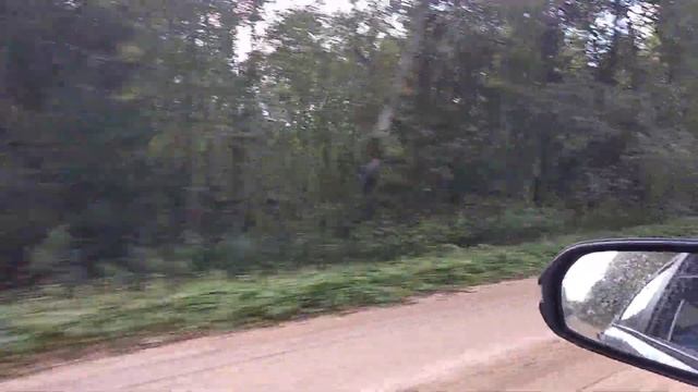 Дорога до истока реки Волги) смотреть онлайн