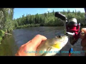 Рыбалка на крупного хариуса в Восточной Сибири в июле !!!
