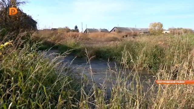 ОТРК Русь Костромской фермер завалил деревню навозом смотреть онлайн