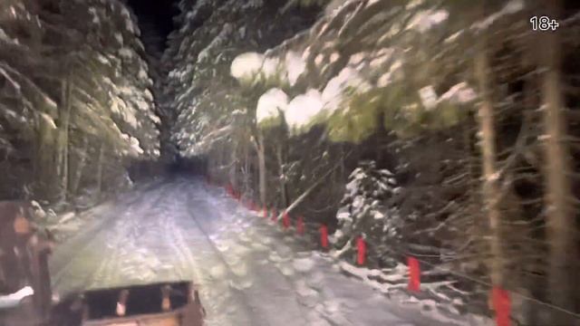 Волки нас обманули…