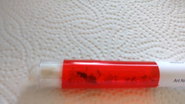 Муравей Messor barbarus. Муравьиная ферма. Начало