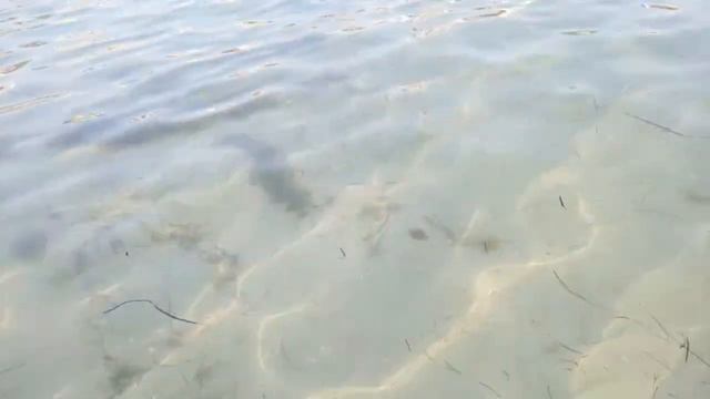 Чёрноморское, море... стрим с 9900Е после подводных съёмок смотреть онлайн