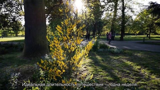 Стоимость аренды яхты в Греции с капитаном, цена за стоянку (круизный отдых) смотреть онлайн