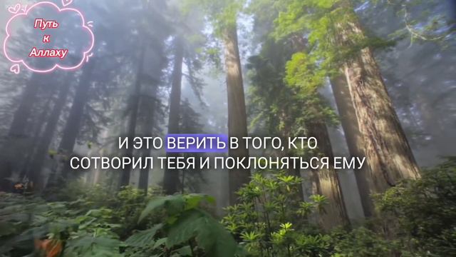 Хороший Не Мусульмане Судный День #subhanallah #alhamdulillah #allahuakbar смотреть онлайн