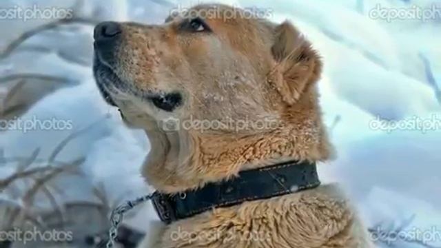 Грустное видео до слёз смотреть онлайн