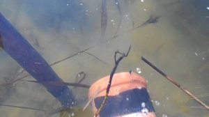 Сифон как средство спуска и заполнения водоема