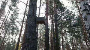 Как правильно повесить скворечник. Видеоинструкция на копе в лесу