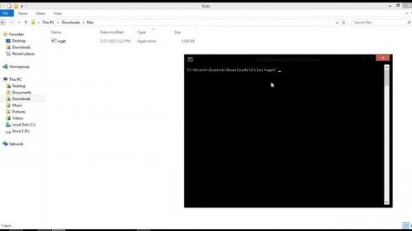 How to download files/website using wget download in 2022