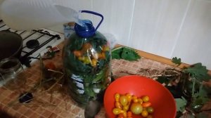 ? Соление огурцов в пластиковой бутылке.Pickling cucumbers