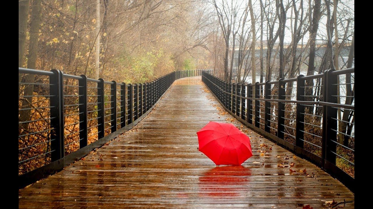 ЗВУК ДОЖДЯ И ГРОМА смотреть онлайн