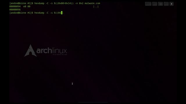 Schadcode Analyse #1 ( Metadaten Assembler ) - Malware Mz Pe Header Metadata Opcode Analysis