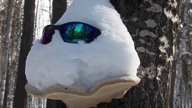 КСЮША Привет от Гриб Грибыча УЛЫБНИСЬ смотреть онлайн