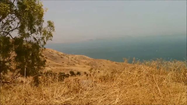 שיר עד - אל ארצי (לא שרתי לך ארצי) - מילים: רחל | לחן וביצוע: אברהם פררה, 1985 - Avraham Perrera смотреть онлайн