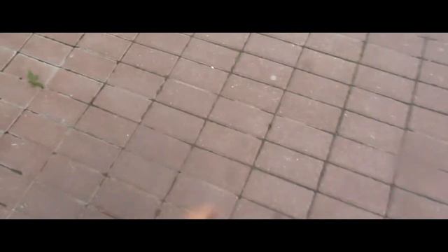 [12+]Мафия которая живёт на крыше[1 серия]-лёгкие деньги смотреть онлайн