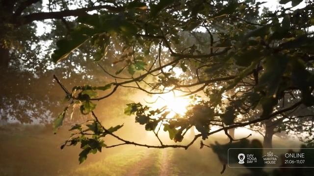 Йога-нідра з Калінді і Ямуною | 21 денний марафон з Хатха-йоги та Медитації смотреть онлайн