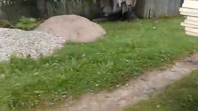 На самоделки, один куб сырых досок, да не вопрос !!! смотреть онлайн