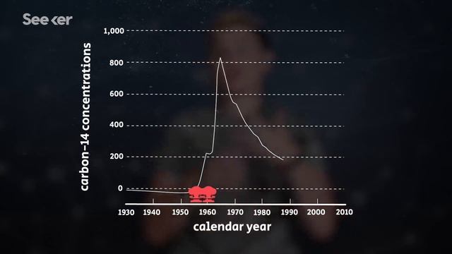 Некоторые акулы живут до 500 лет, чему мы можем у них научиться? смотреть онлайн