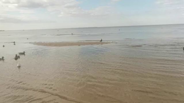 Балтийское море. Финский залив. смотреть онлайн