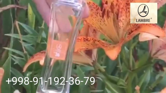 LAMBRE.В Ташкенте. Новая колекция.Звоните.+91-192-36-79 смотреть онлайн